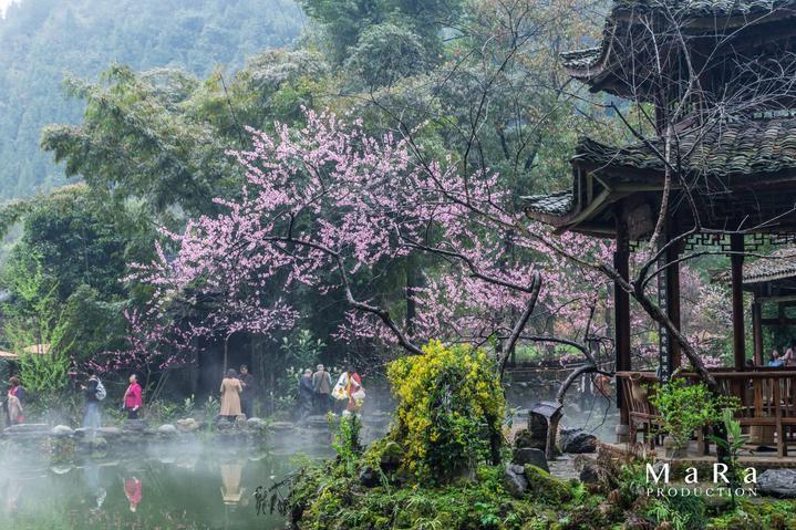 多特vs波鸿首发:桑乔主场首秀,菲尔克鲁格出战