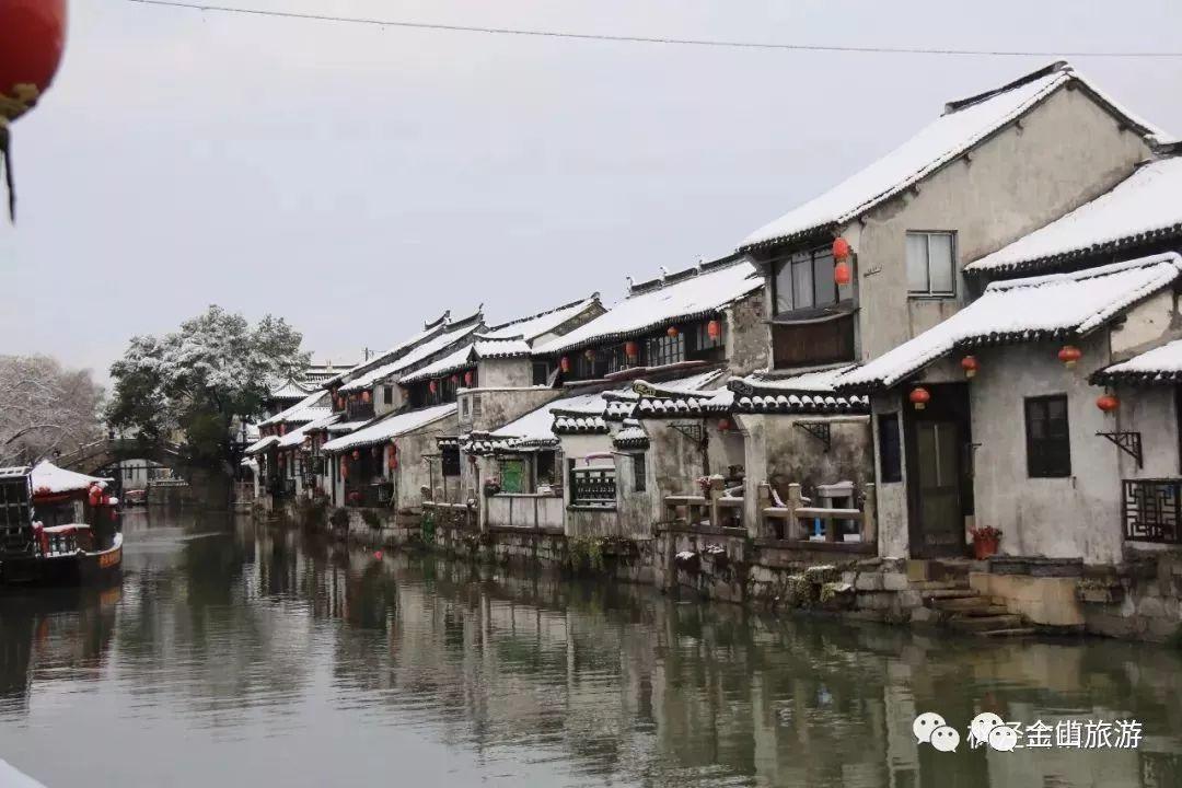 拯救可爱袋鼠